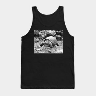 vintage photo of galapagos tortoise Tank Top